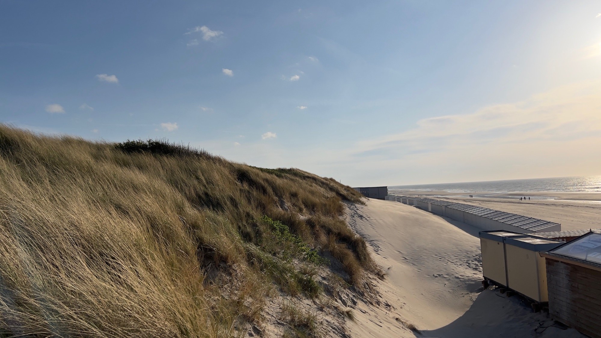 Camping de Driesprong